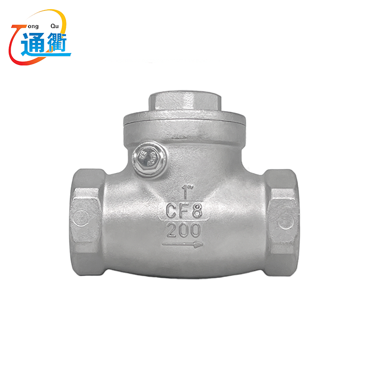 Stainless Steel Swing Check Valve