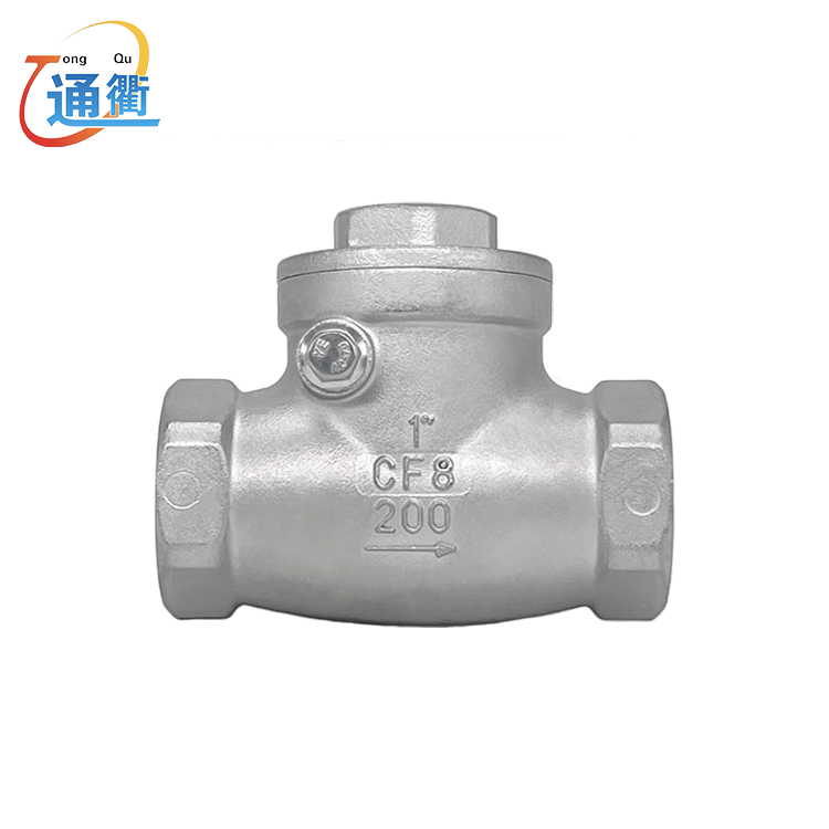 Stainless Steel Swing Check Valve